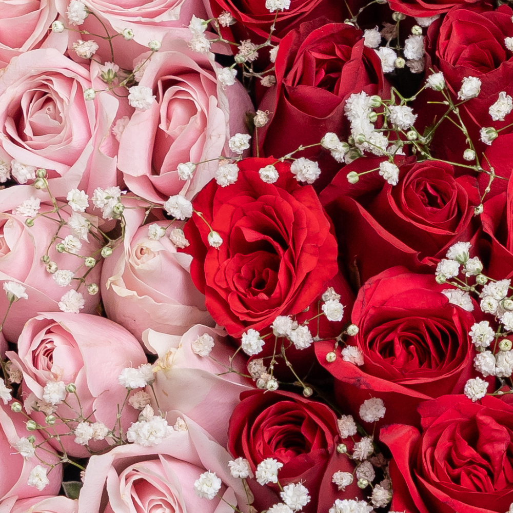 Perfect Match – Shades of Spring