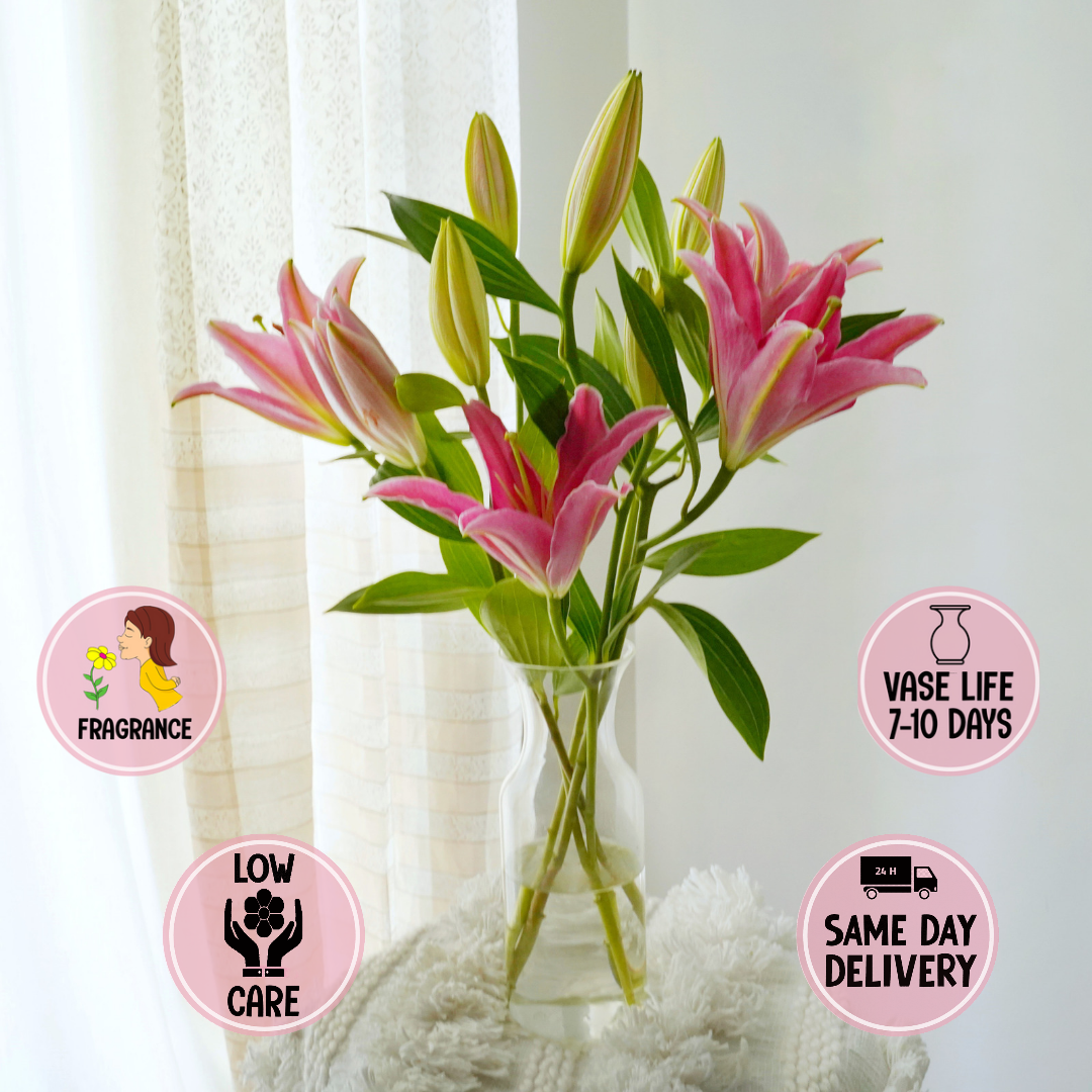 ORIENTAL LILY Stems – Shades of Spring - Main Image